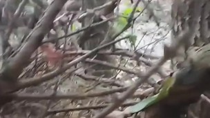 I jerk off in public place. Masturbate in the public park