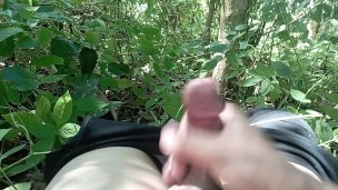 Taglibog sa tag init